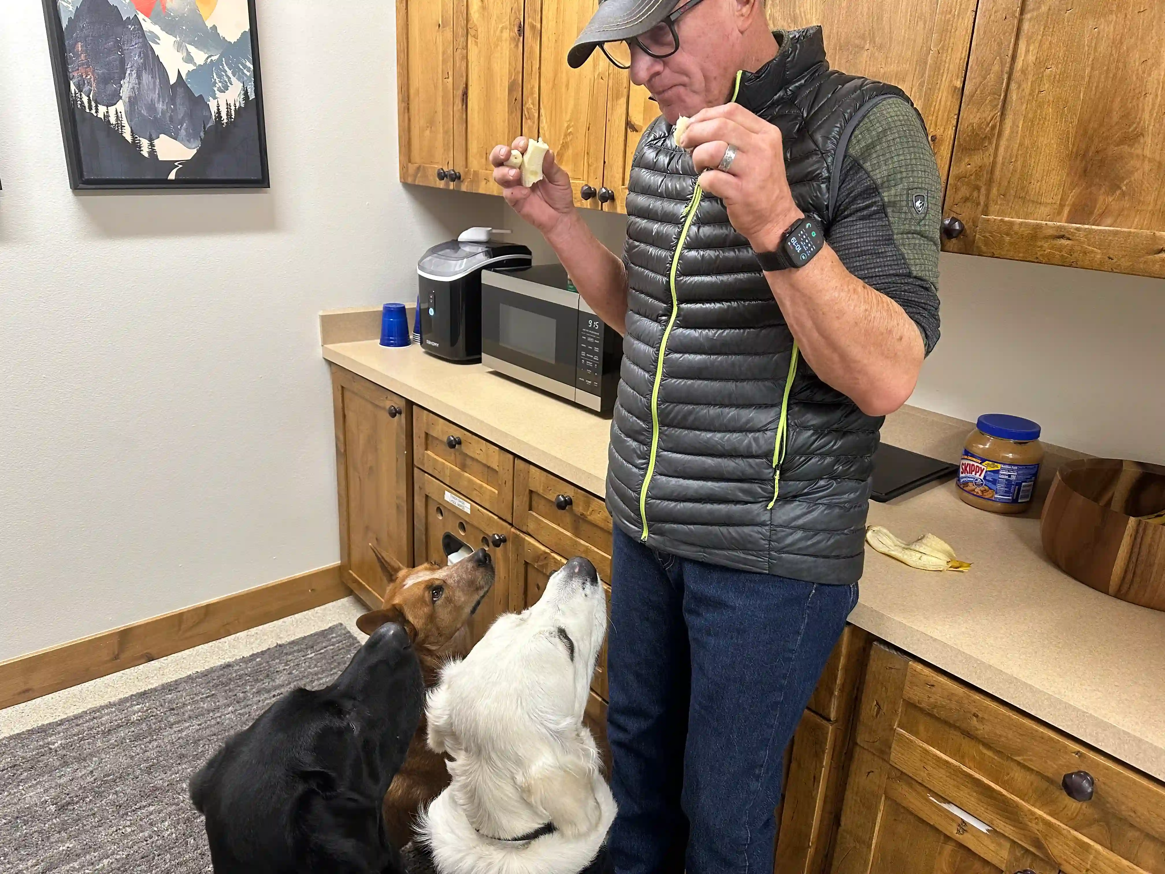 Bill giving snacks to two eager dogs in the office kitchen
