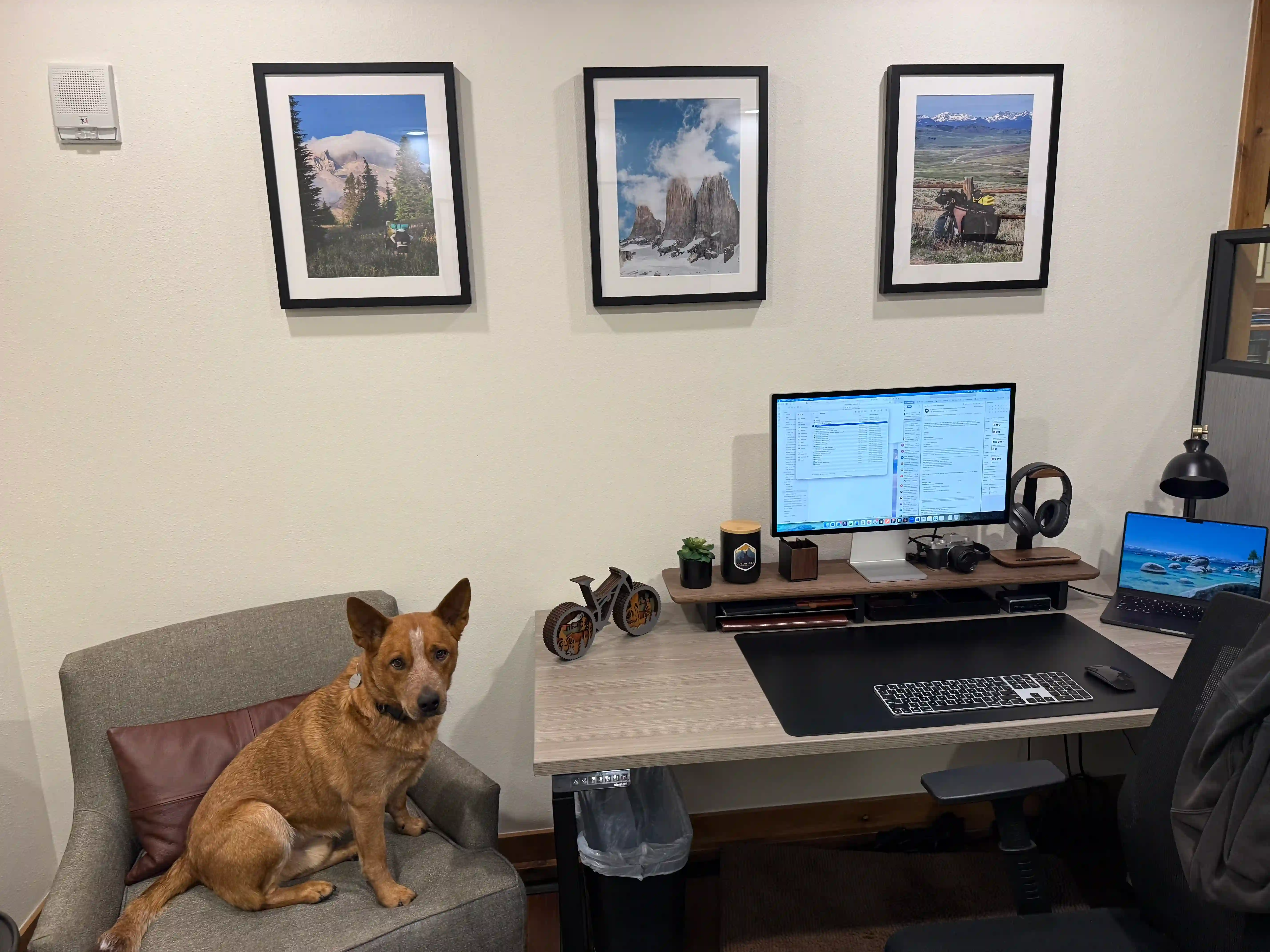 Dale lounging on a chair beside Morgan's standing desk