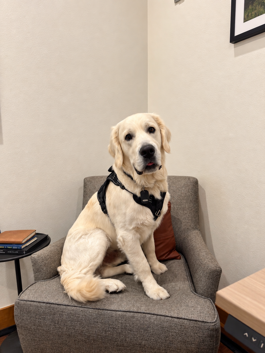 Finn, Chief Morale Officer