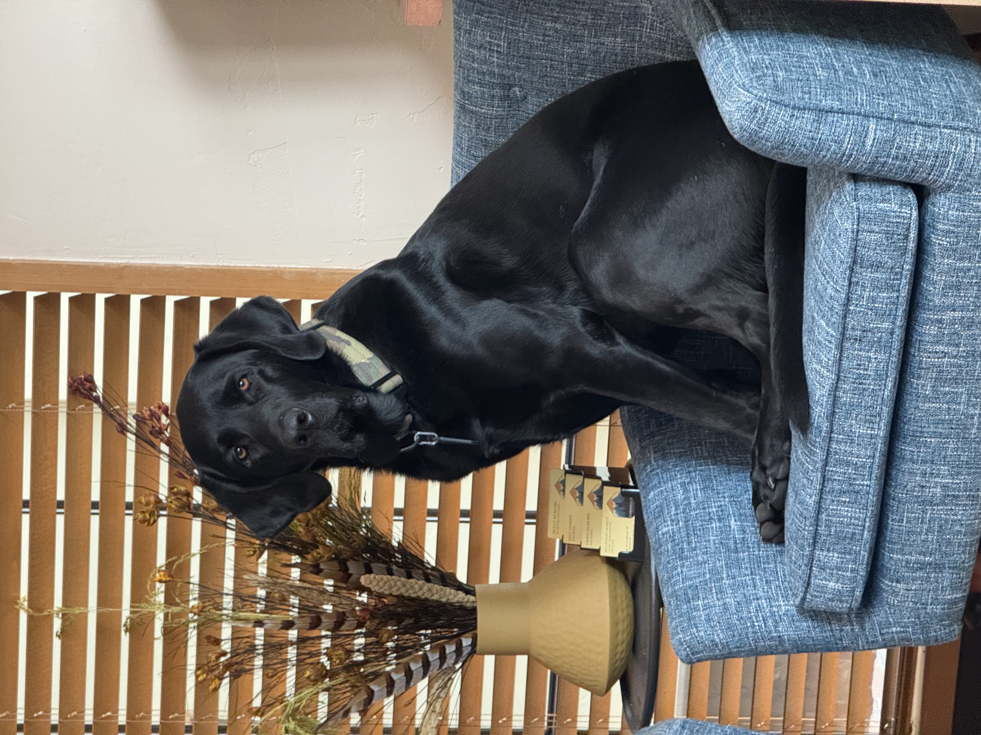 Ruger, Head of Security