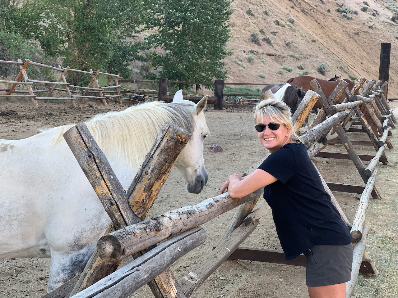 Making friends with a horse